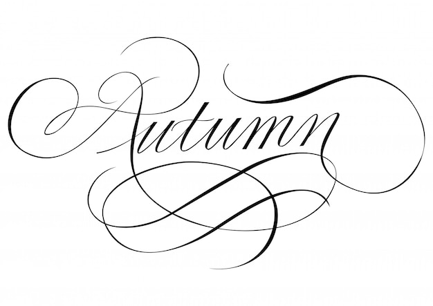 Autumn lettering. calligraphic inscription with swirl elements.