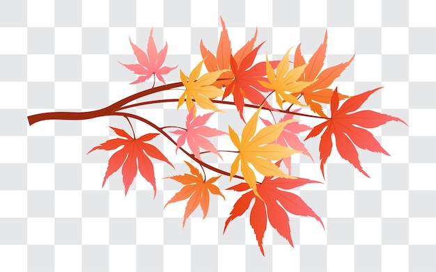 Autumn Maple branches isolated on fake transparent background vector illustration