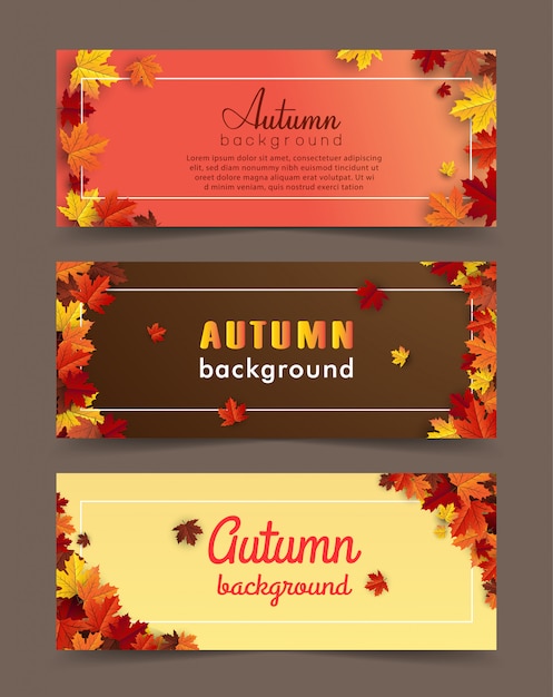 Vector autumn maple leaf background banner set