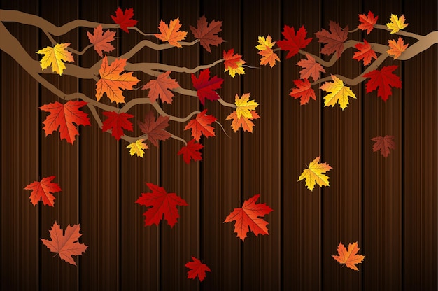 autumn maple leaf background