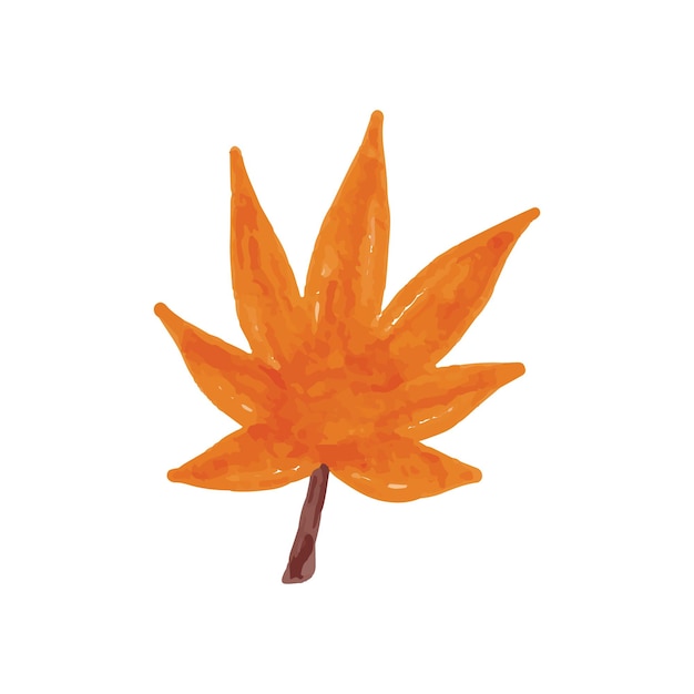 Autumn Maple Leaf Watercolor Illustration