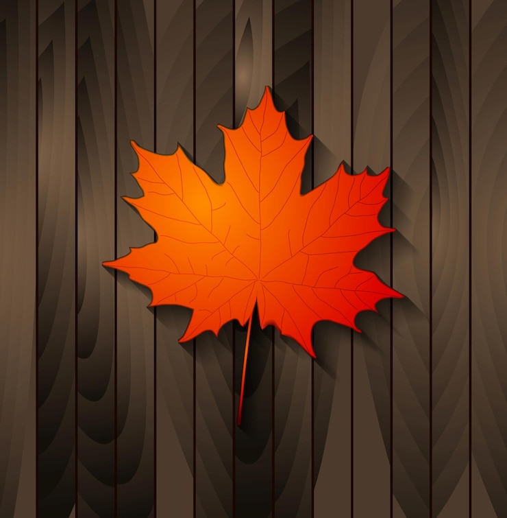 Vector autumn maple leaf on wooden background