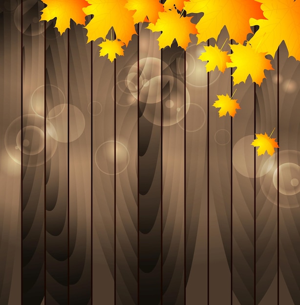 Autumn maple leaves on wooden background