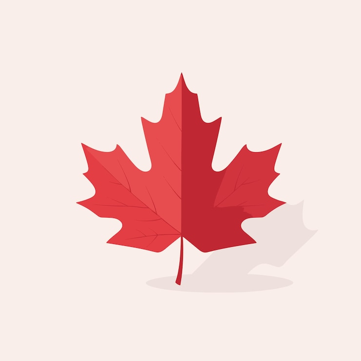Vector autumn maple red leaf isolated vector illustration