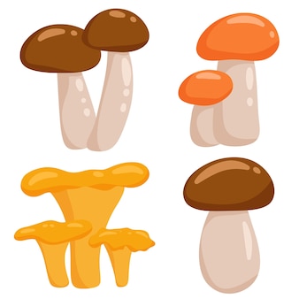 Funghi d'autunno. immagini di cartoni animati podosinovik, podberezovik, porcini, finferli, rosso. illustrazione vettoriale su uno stile cartone animato sfondo bianco.