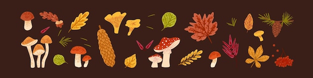 ベクトル 森のきのこの乾燥した葉と果実で設定された秋の自然 秋の葉のかわいい束 モミの実の葉 食べ物やその他の秋のデザイン要素 モダンな植物の平らなベクトル図