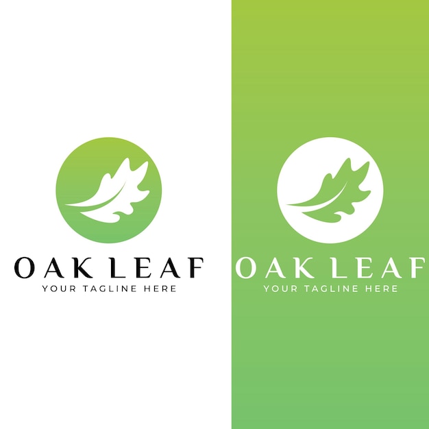 Autumn oak leaf logo and oak tree logo With easy and simple editing of vector illustration