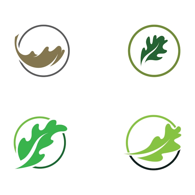 Logo foglia di quercia autunnale e logo albero di quercia con modifica facile e semplice dell'illustrazione vettoriale