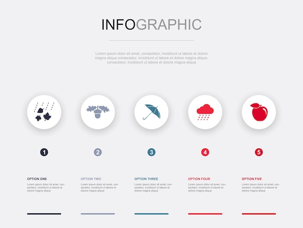 Autumn oak nut umbrella rain apple icons Infographic design template Creative concept with 5 steps