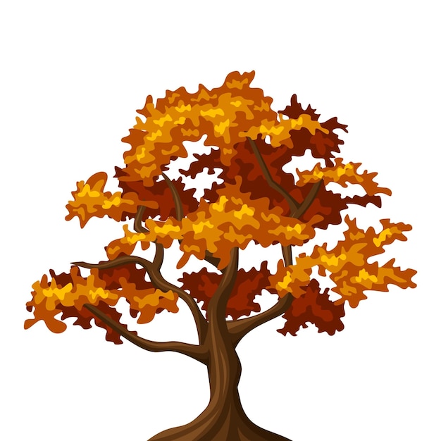 ベクトル 白い背景に分離された秋の樫の木