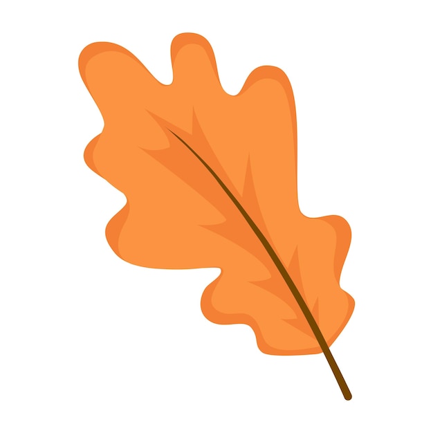 autumn orange leaf isolated on white background