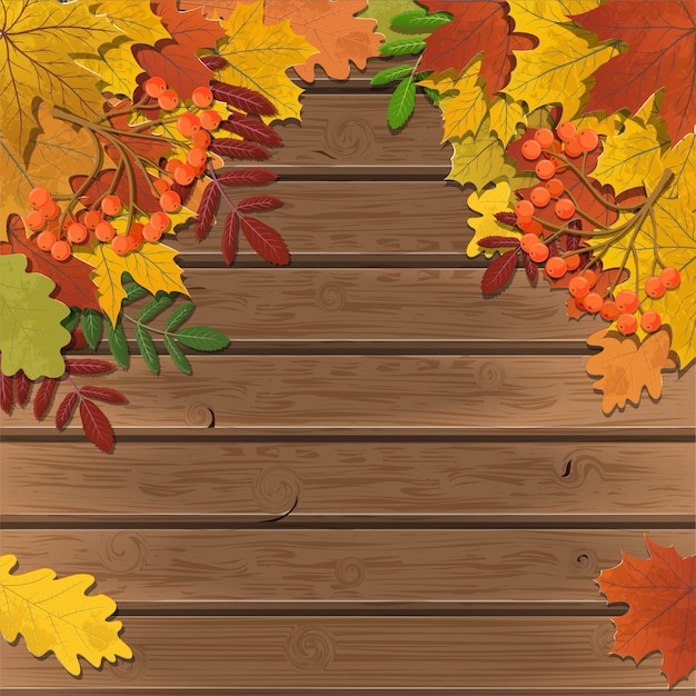 Vector autumn paper background