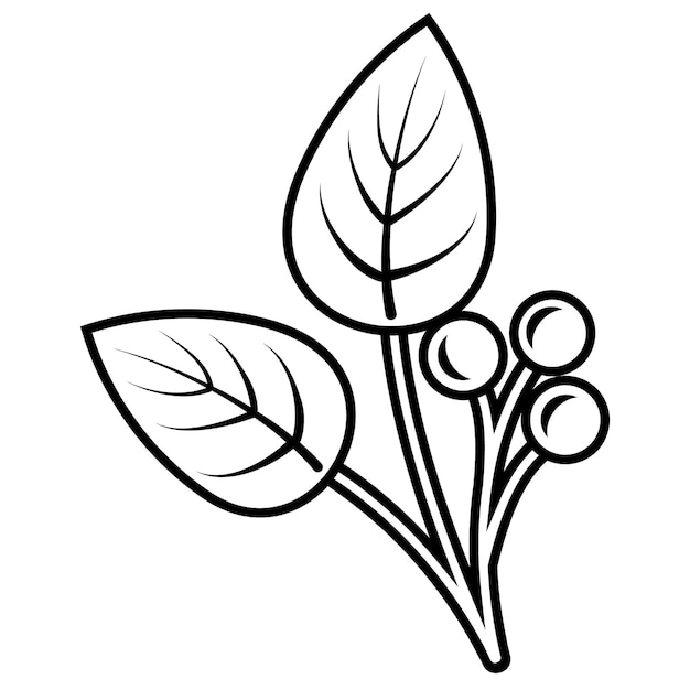 Elementi di doodle di piante autunnali elementi di contorno della pianta in autunno grafica vettoriale