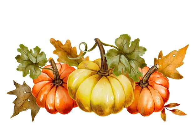 Autumn pumpkin and floral berry leaves, watercolor vector illustration, Thanksgiving day