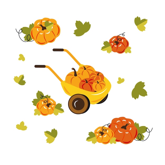 Set da giardino di zucca autunnale