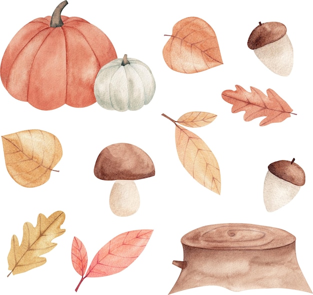 Autumn pumpkin, leaf, nut and wood