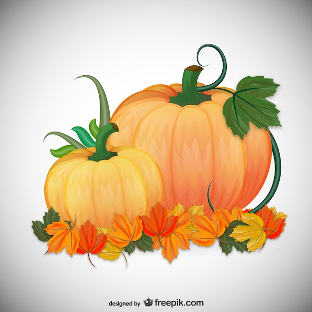 Vector autumn pumpkins illustration