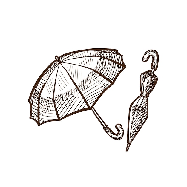 Autumn rain rain protection types of umbrellas in different positions