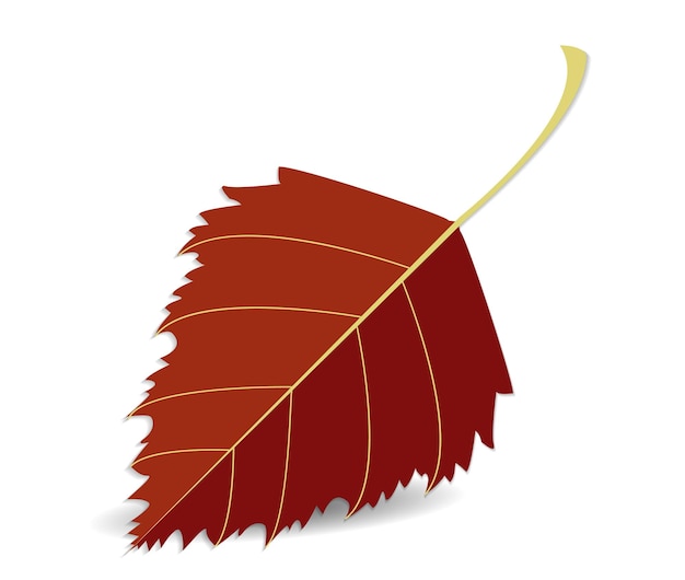 Autumn red leaf detailed closeup birch leaf isolated on white or transparent background with shadow