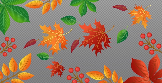 Autumn red and yellow leaves web template transparent background vector