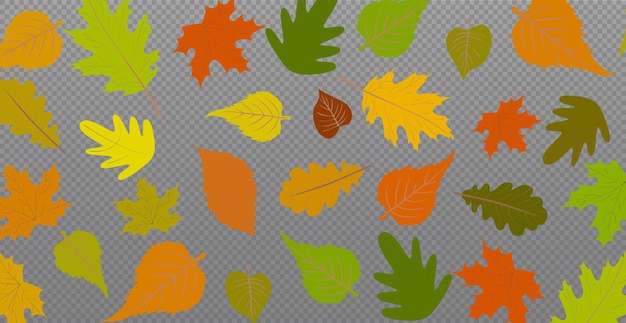 Vector autumn red and yellow leaves web template transparent background vector