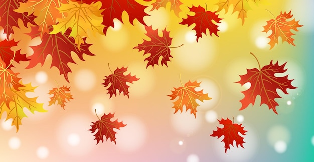 Autumn red and yellow maple leaves web template transparent background Vector