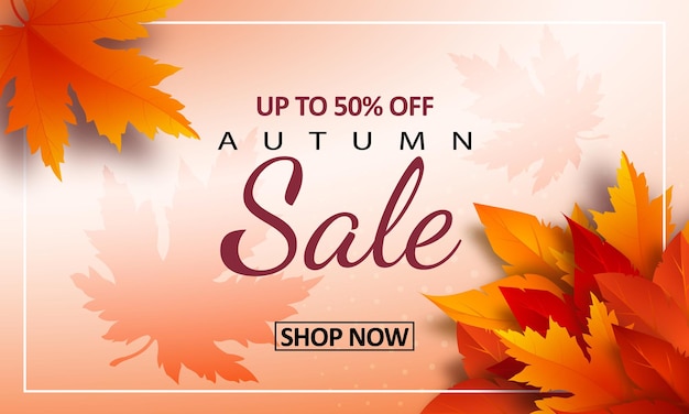 Autumn sale background with bright realistic yellow red orange leaves