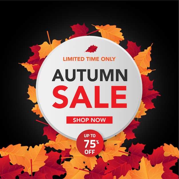 Vettore autumn sale background