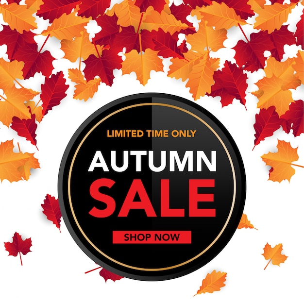 Autumn sale background