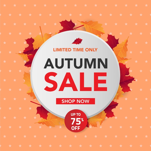 Vector autumn sale background