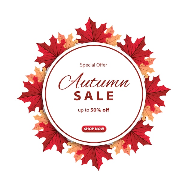 Autumn sale background