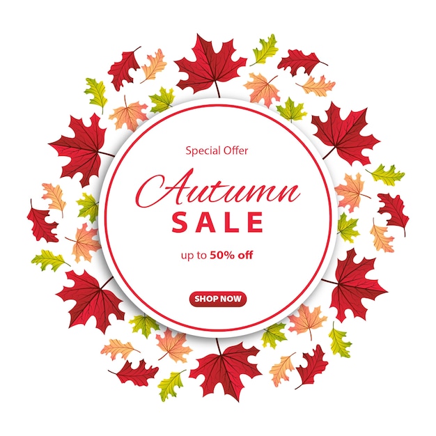 Autumn sale background