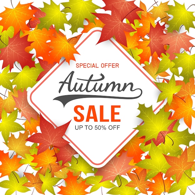 Autumn Sale Background.