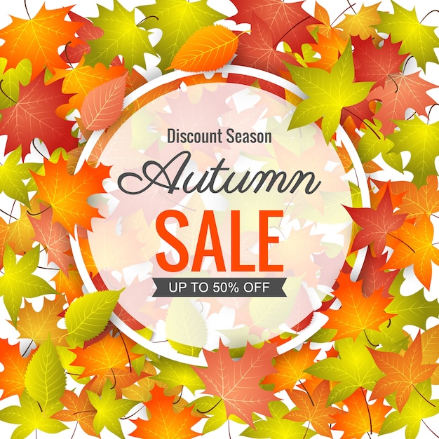 Autumn Sale Background.