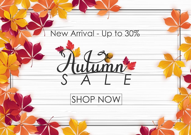 Autumn sale background