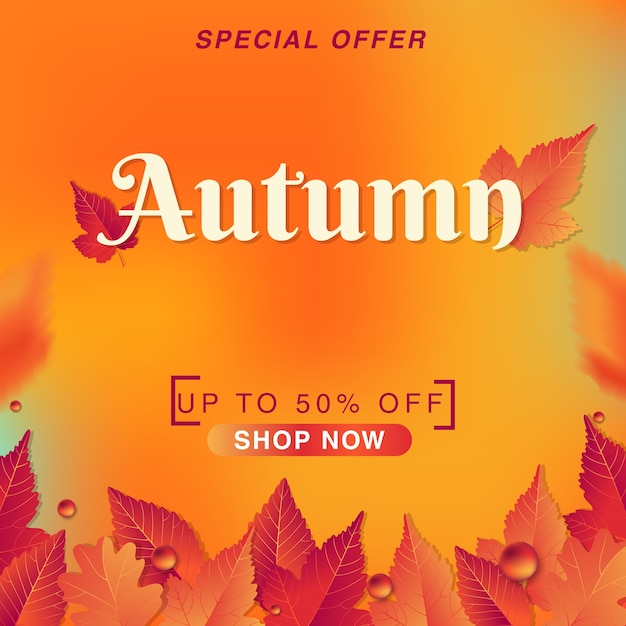 Autumn sale background