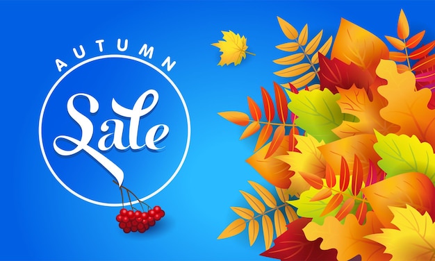 Vector autumn sale. banner. autumn fallen leaves. advertising text on blue background. poster. rowan bunch