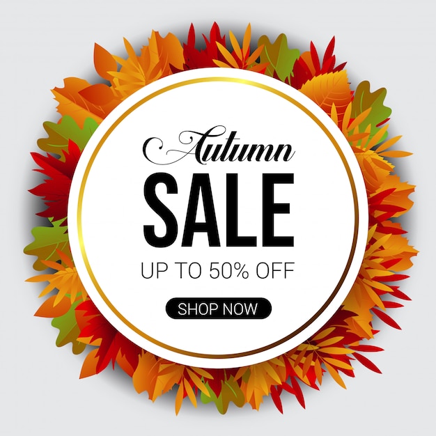 Vector autumn sale banner background  template