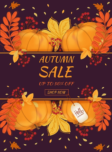 Autumn sale banner Hello autumn Autumn leaves pumpkin and rowan berry