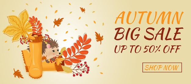 Autumn sale banner. hello autumn. rubber boots with autumn leaves and rowan berries branch, hedgehog.