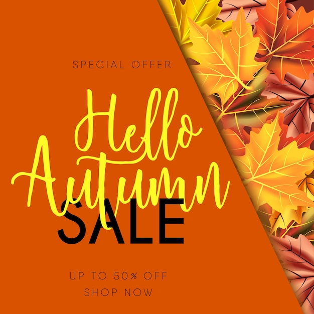 Autumn sale banner isolated background