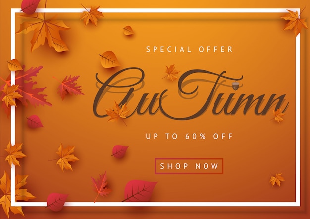 Vector autumn sale banner layout decorate with leaves