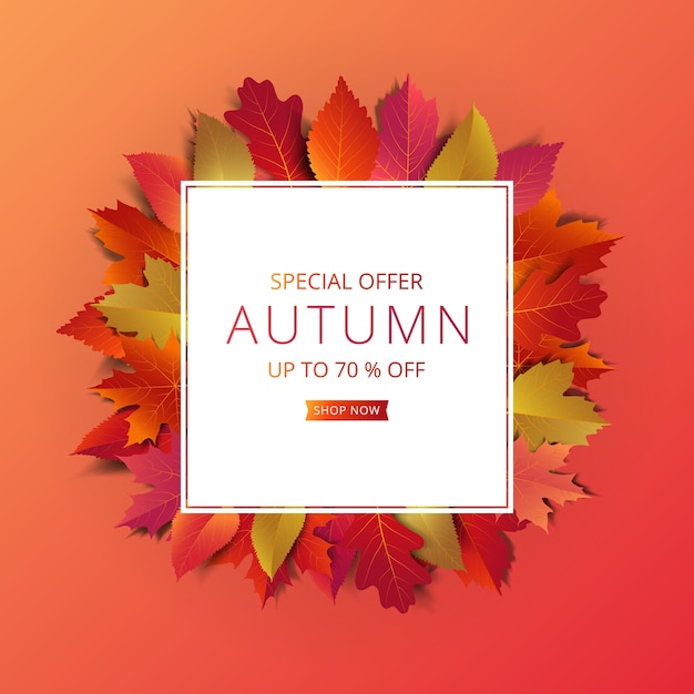 Autumn sale banner layout template 