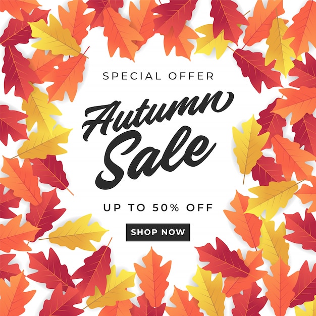 Autumn sale banner for shopping sale.