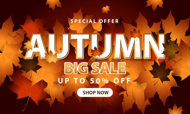 Autumn sale banner template design