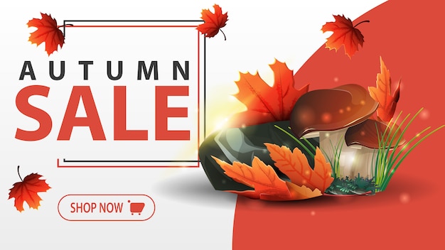 Autumn sale banner template