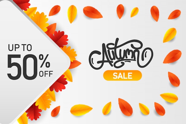 Autumn sale banner with fall leaves