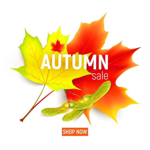 Осенняя распродажа баннер с кленовым листом