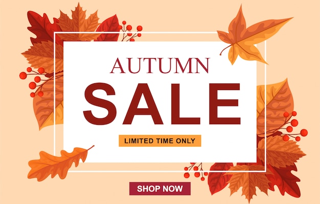 Vector autumn sale banner