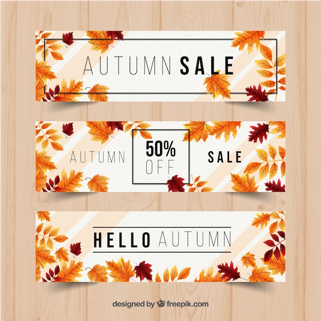 Autumn sale banners with realistic design